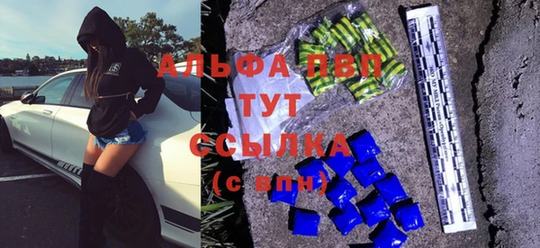 a pvp Магас