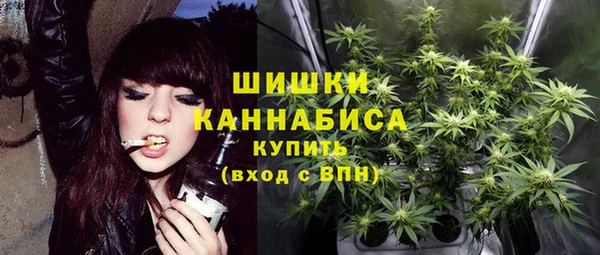 a pvp Магас