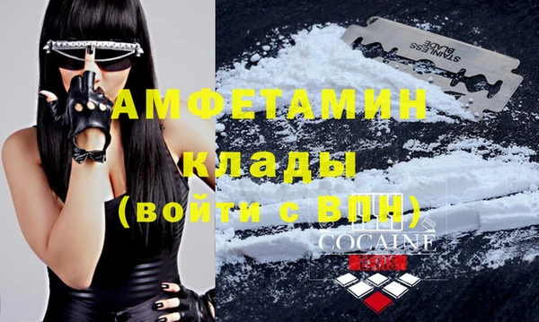 a pvp Магас