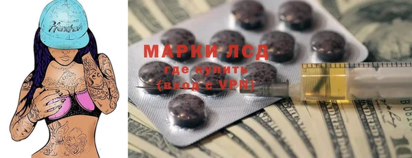 a pvp Магас