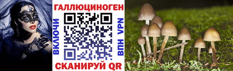 Псилоцибиновые грибы MAGIC MUSHROOMS  Химки 